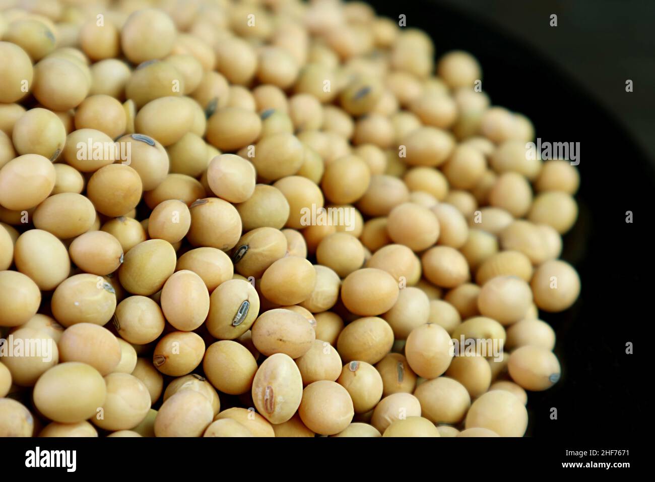 Closeup pile of dried soybeans on black background Stock Photo