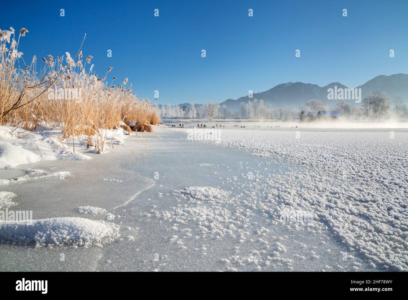 Winter At Kochelsee Schlehdorf Upper Bavaria Bavaria Germany Stock