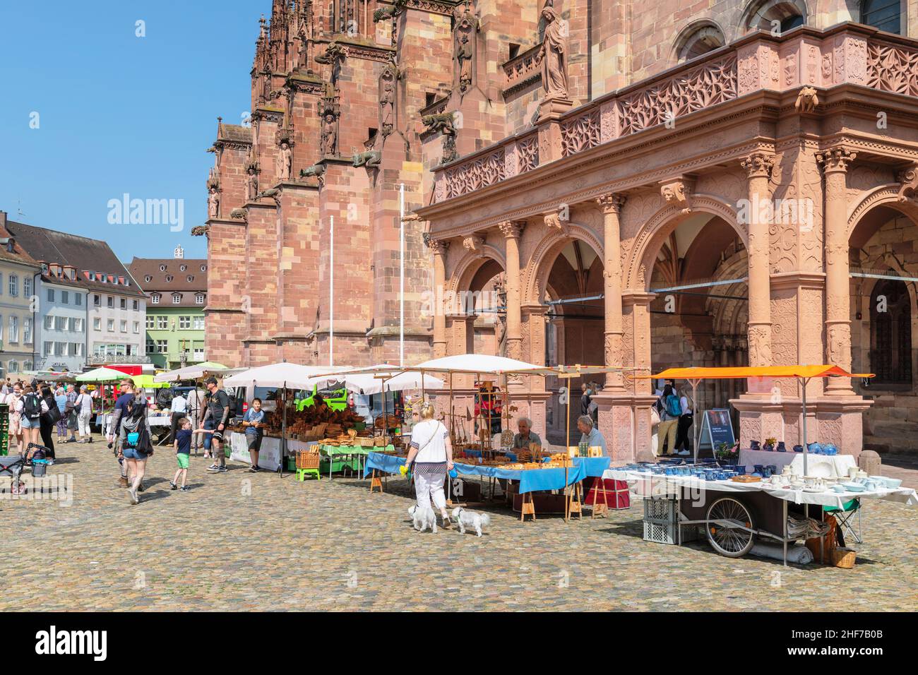 Weekly market on Munsterplatz in front of the Munster,  Freiburg im Breisgau,  Southern Black Forest,  Baden-Wuerttemberg,  Germany Stock Photo