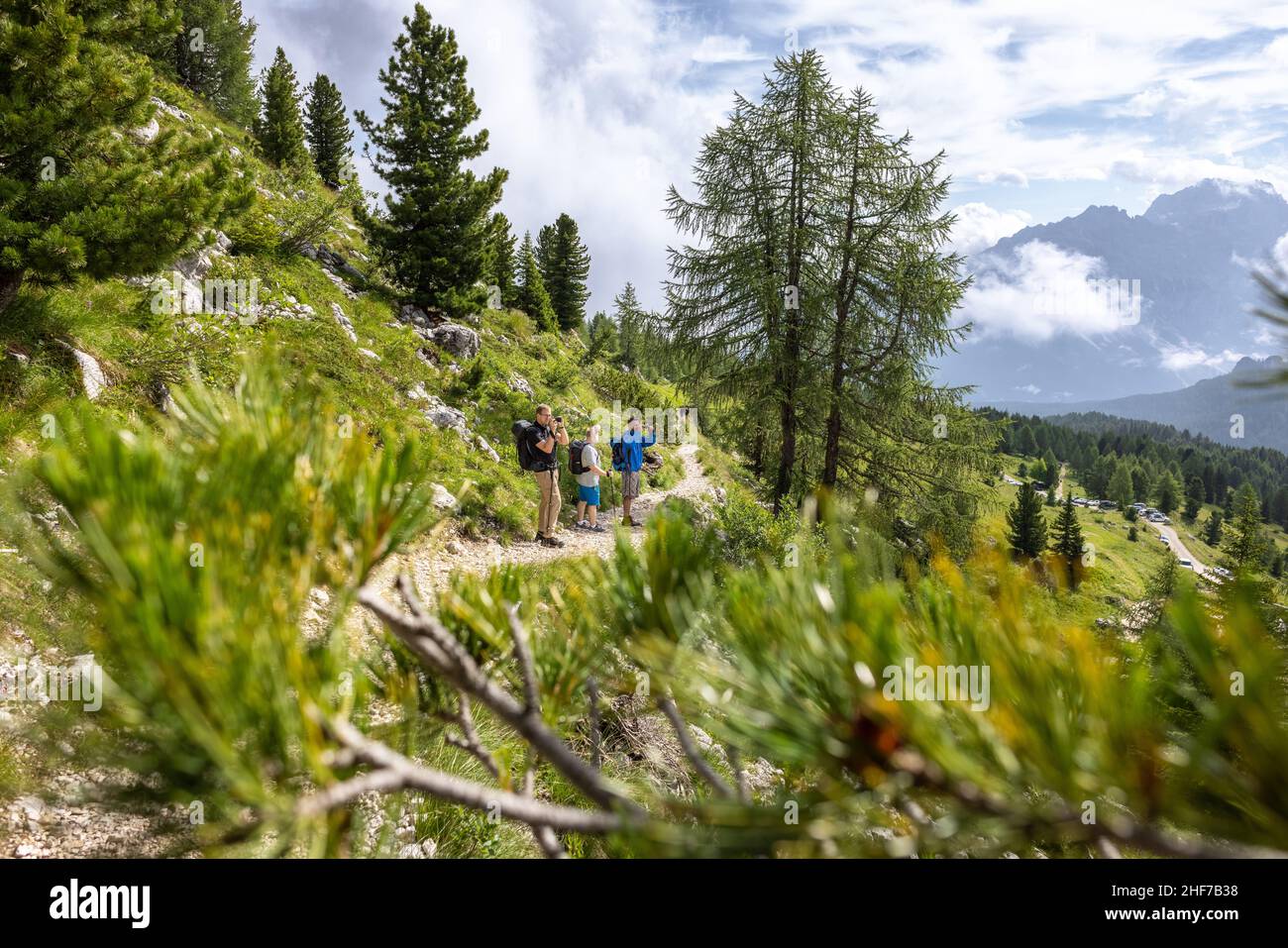 Photographing group hi-res stock photography and images - Alamy
