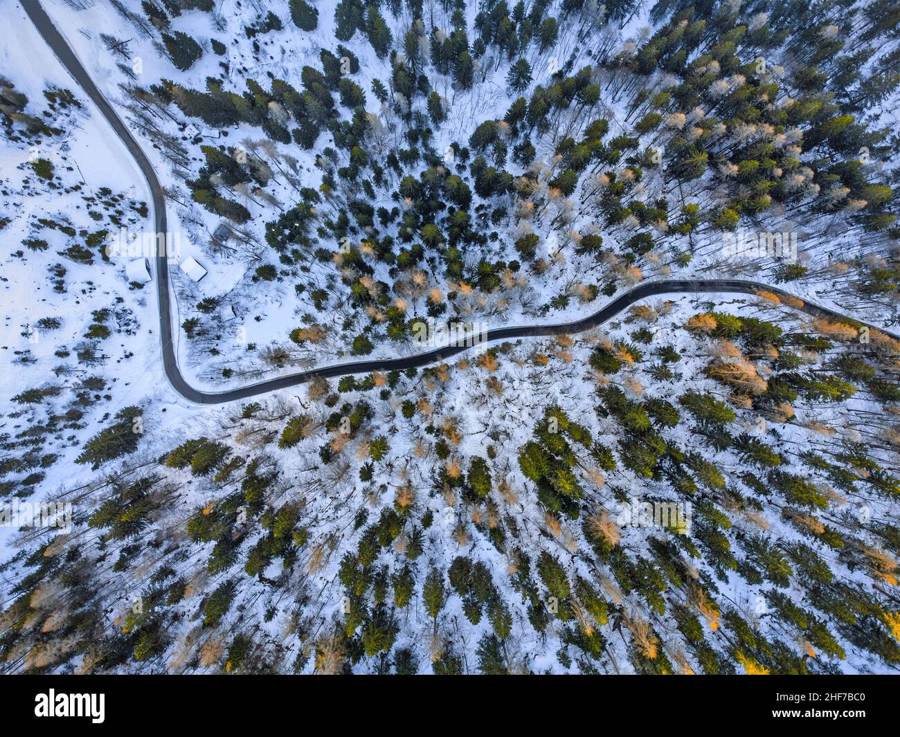 Italy,  province of Belluno,  Val di Zoldo,  Dolomites,  elevated view of an alpine road surrounded by trees,  Passo Duran Stock Photo