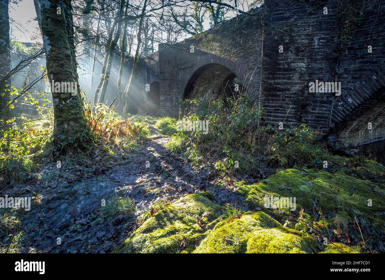 Shafts of sunlight, Henllan bridge, River Teifi, Wales Stock Photo