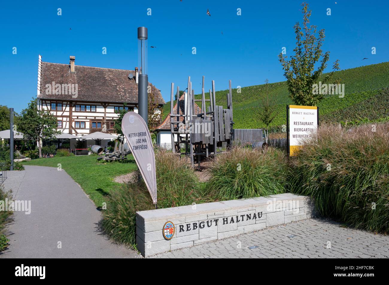 Germany,  Baden-Wuerttemberg,  Region Tübingen,  Bodenseekreis,  Lake Constance,  Meersburg,  Rebgut Haltnau Stock Photo