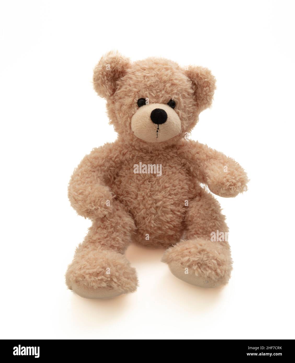 Teddy bear sitting isolated on white background. Cute brown stuffed ...