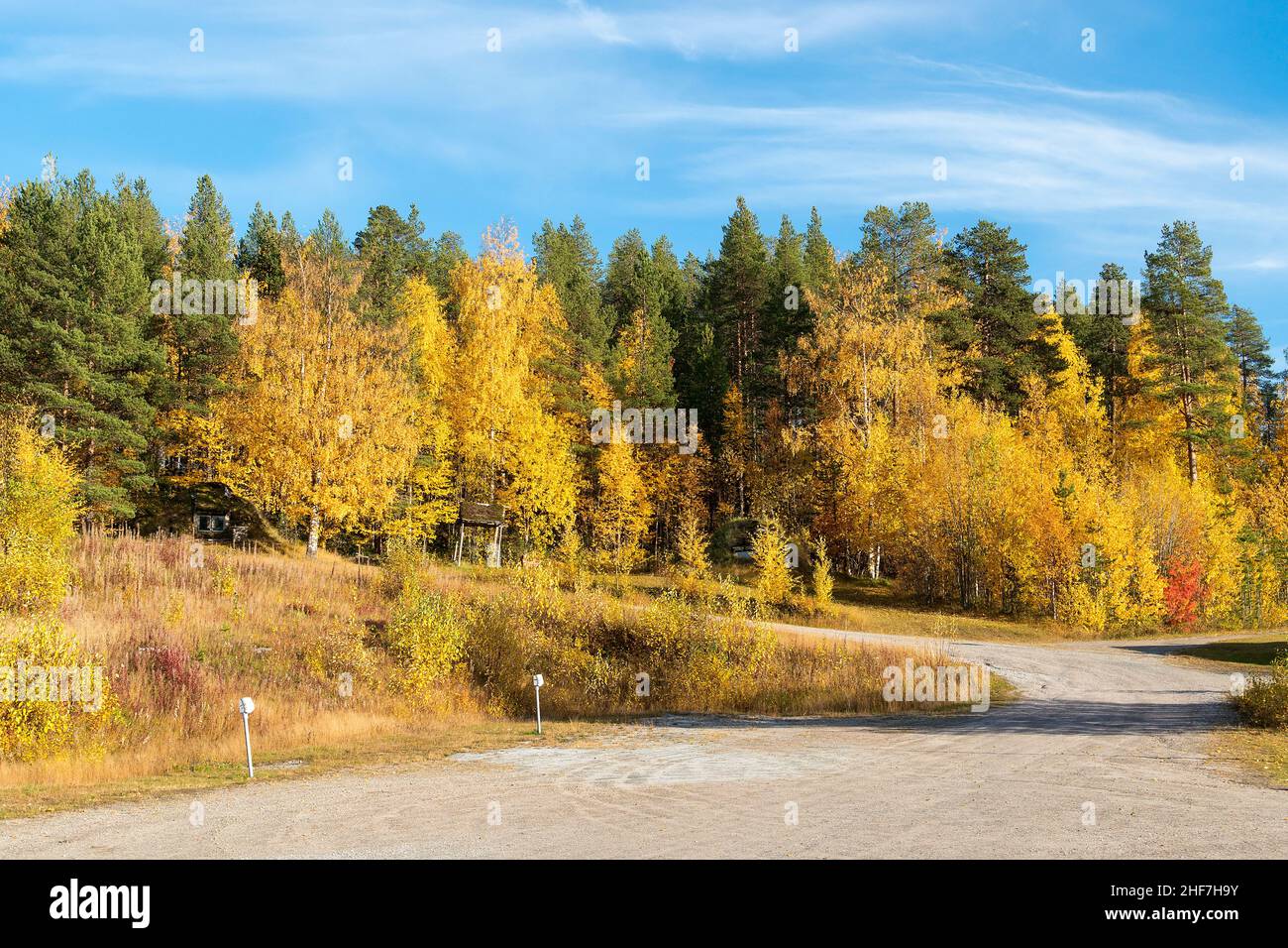 Sweden,  Norrbotten County,  autumn foliage color at the Arctic Circle (near Jokkmokk) Stock Photo
