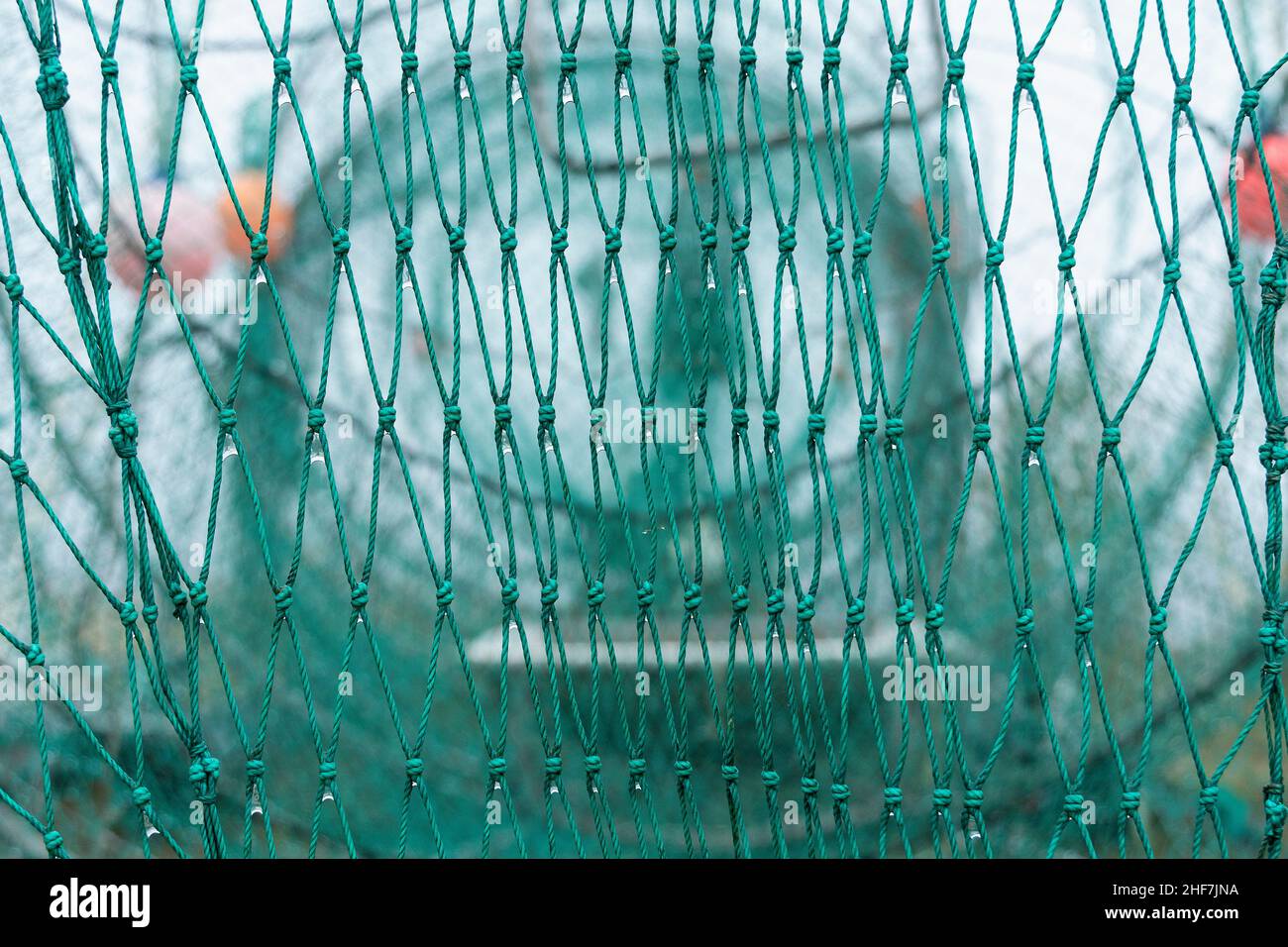 Sweden,  Västerbotten County,  Rovögern Hamn,  fishing port,  nets Stock Photo