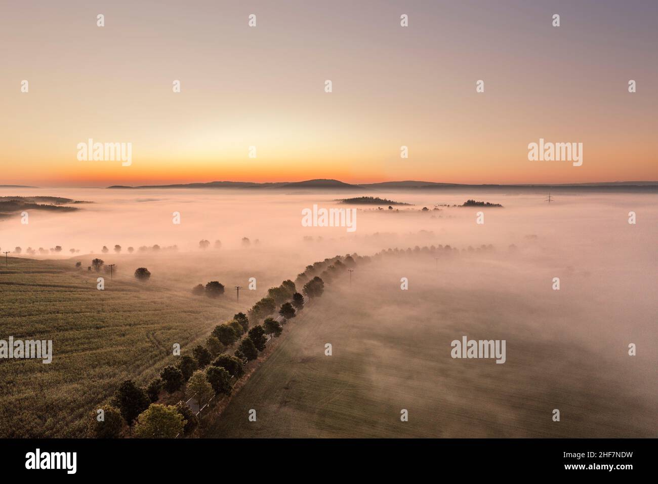 Germany,  Thuringia,  Großbreitenbach,  Böhlen,  an avenue and isolated hills and mountains protrude from a sea of fog,  dawn,  overview,  aerial view Stock Photo