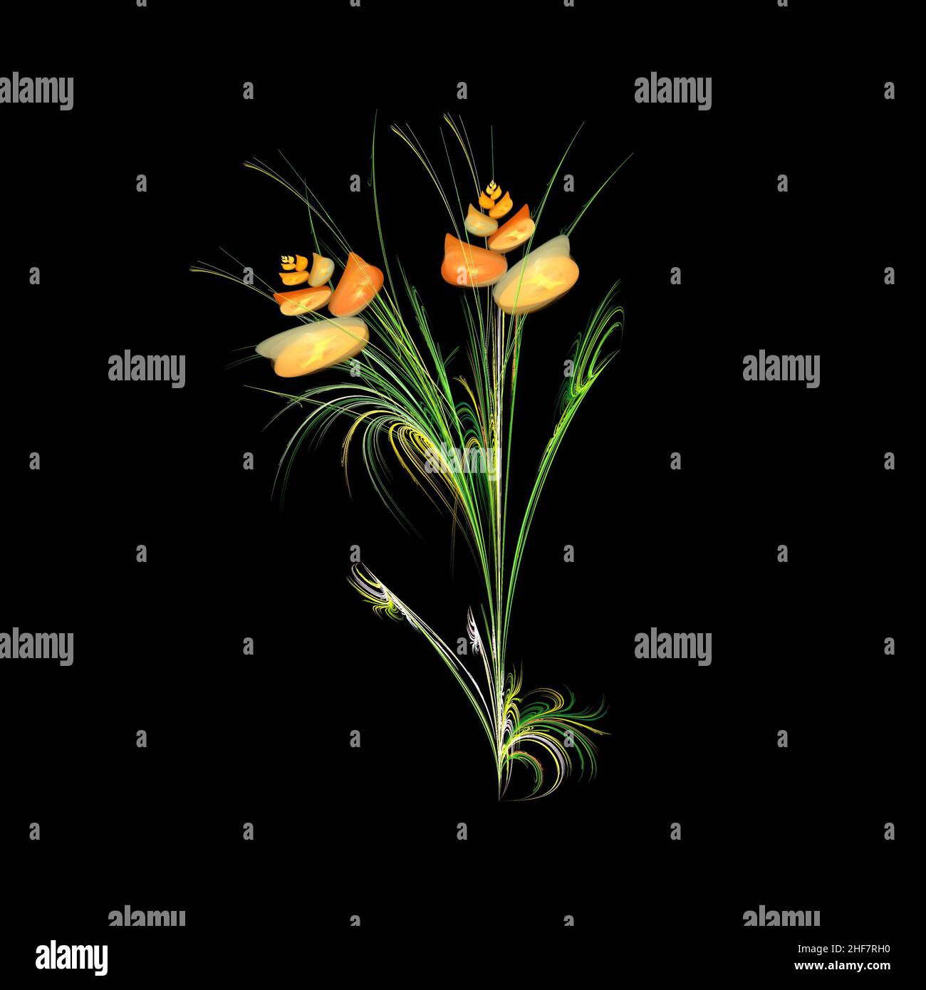 Colorful fractal in the form of an abstract flower on a black background Stock Photo