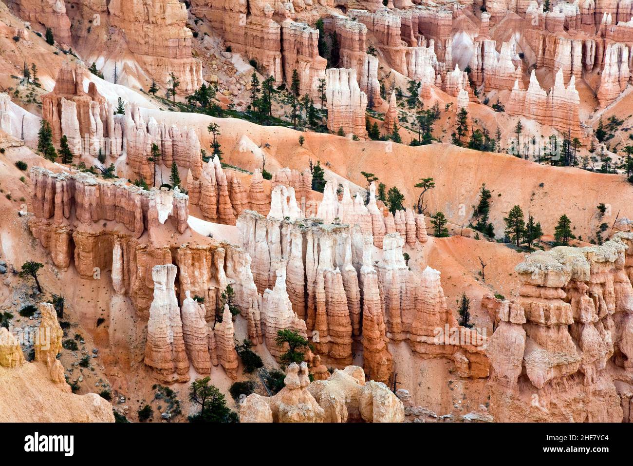 Unique and colorful hoodoo rock formations in the Bryce Canyon National ...