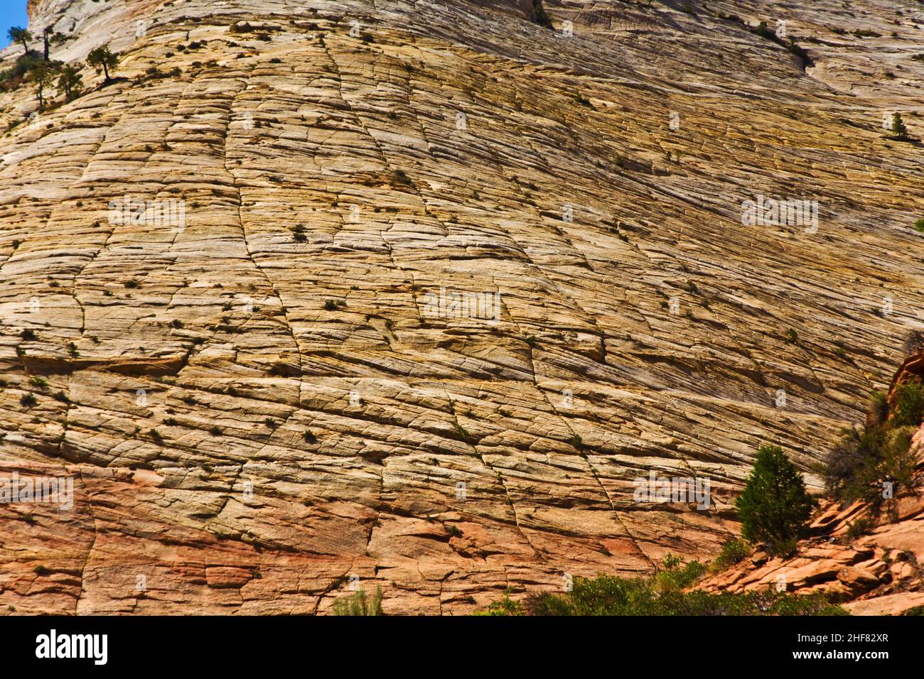 wonderful landscape around Mt. Carmel, Zion National Parc seen from