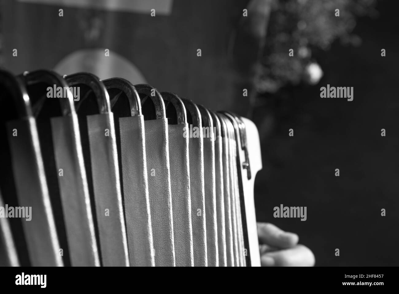 Concertina, detail, accordion Stock Photo Alamy