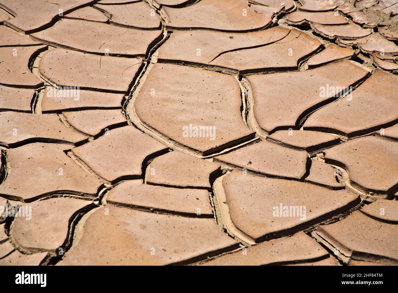 dried and cracked mud in the near of a dried up creek in Desert Valley, Nevada Stock Photo