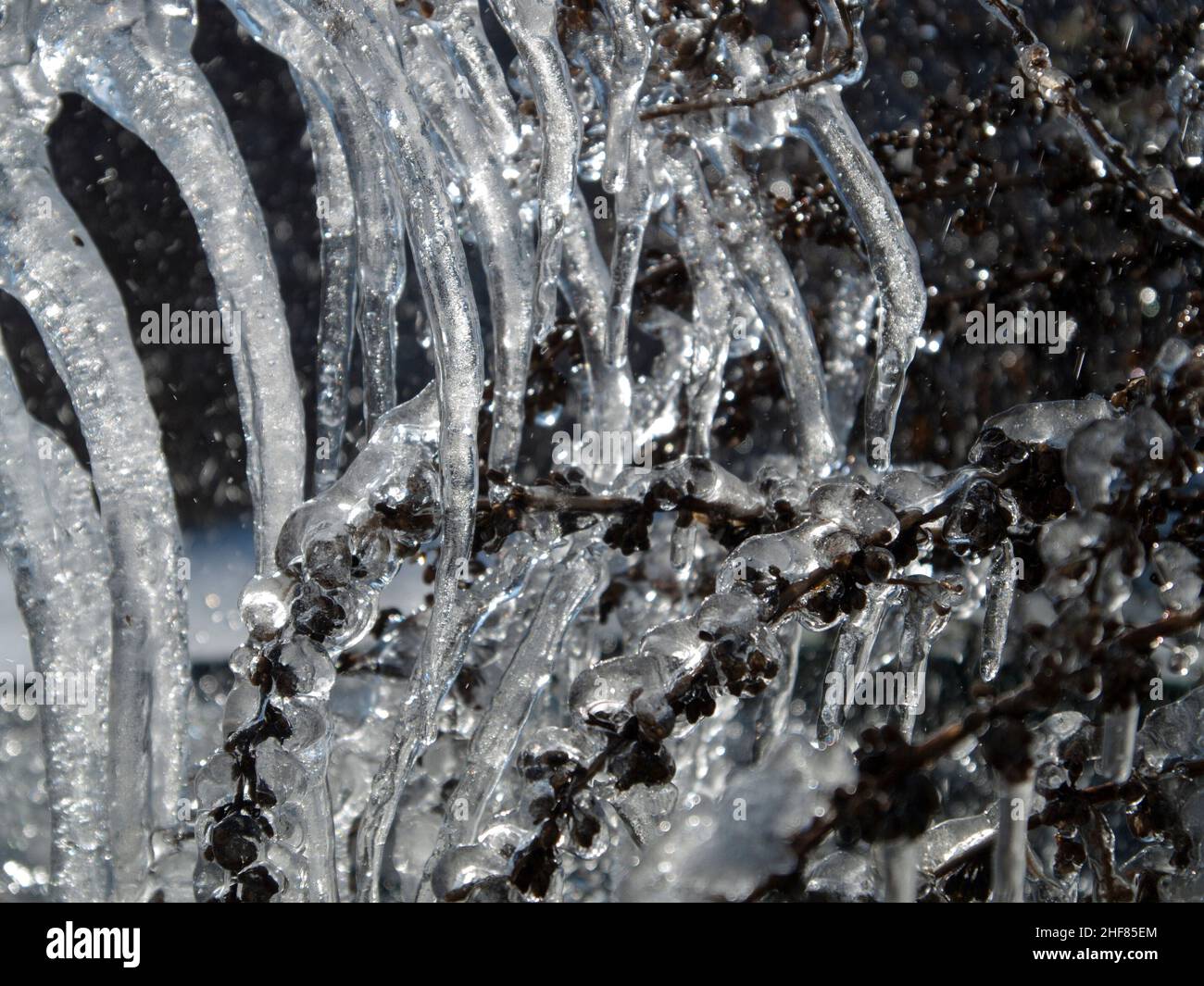 Ice,  rain barrel,  icicles,  freezing cold Stock Photo