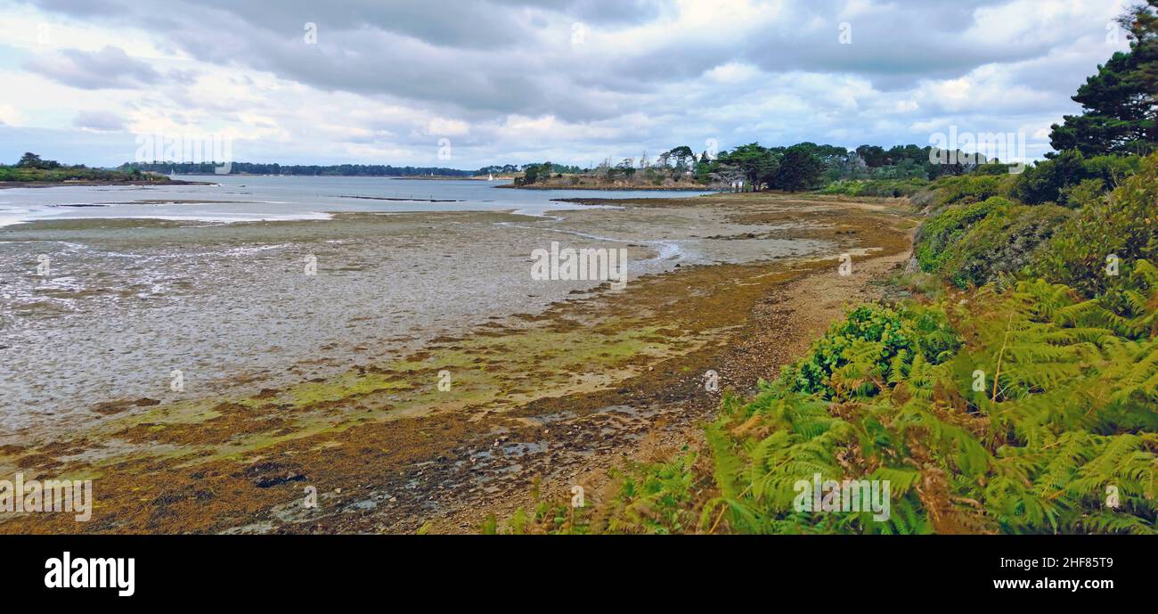 Ebbe in the Golfe du Morbihan an inland sea on the French Atlantic