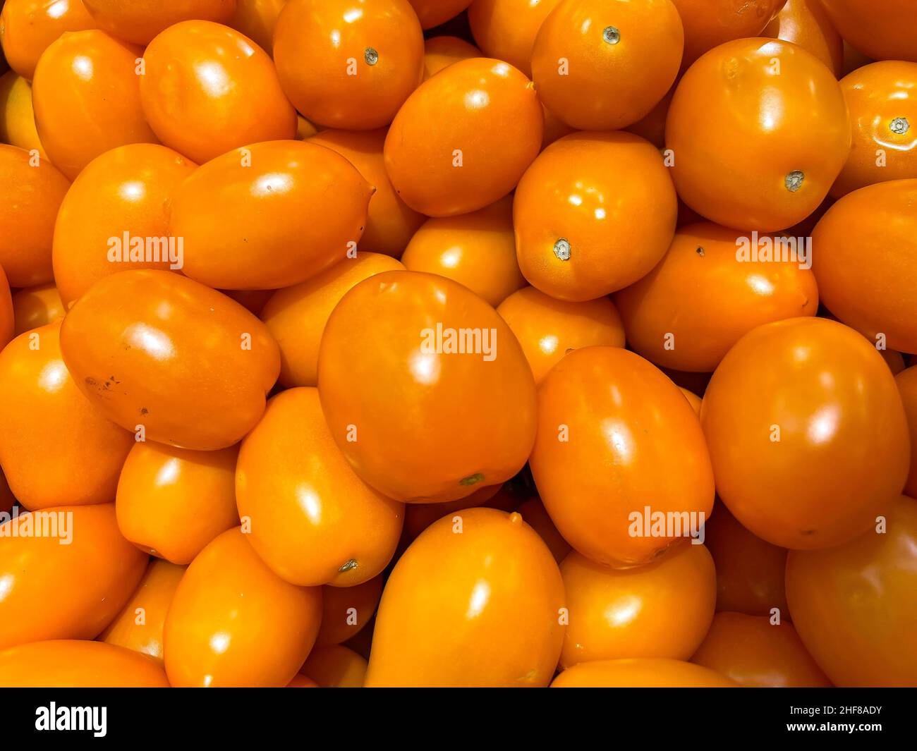 Background of fresh yellow tomato  Stock Photo