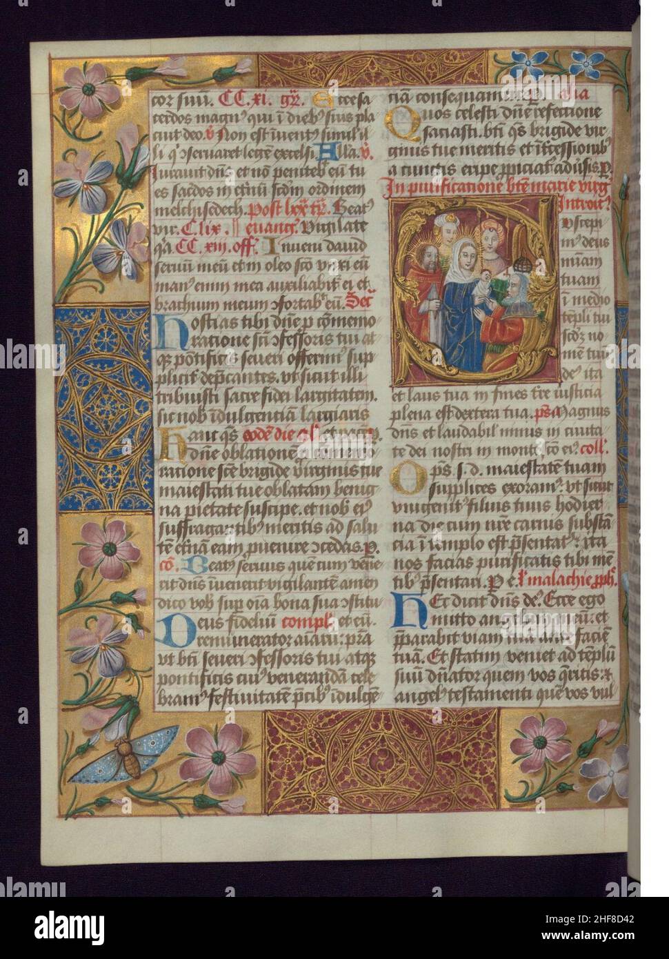 Sanctorale Feast of the purification of the Blessed Virgin Mary