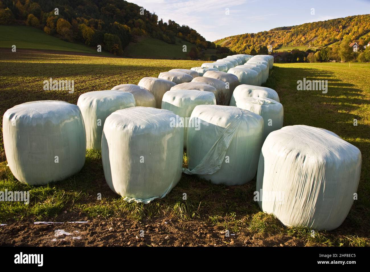 bale of straw in autumn in intensive colors Stock Photo - Alamy
