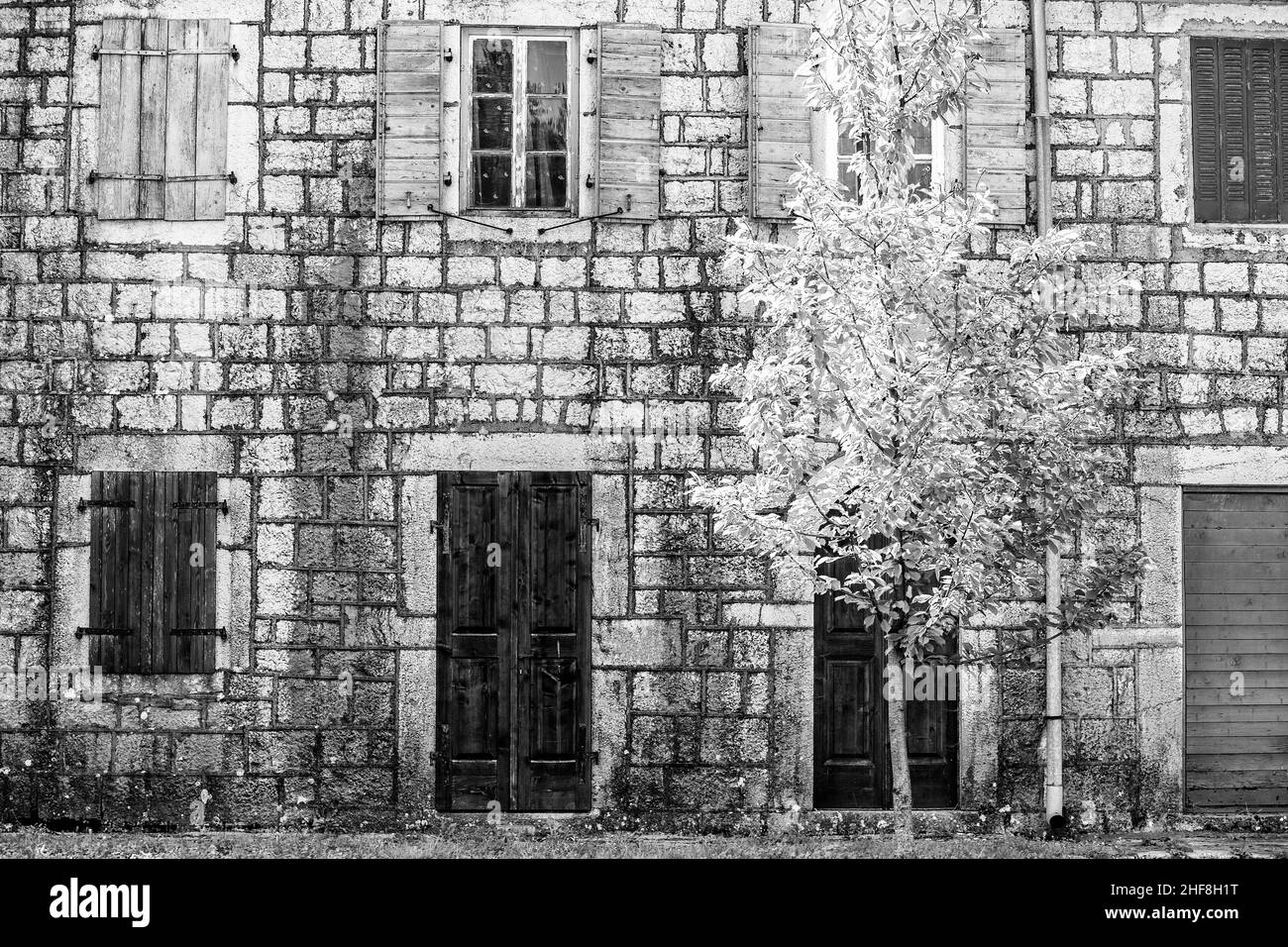 European abandoned building with bright tree at front shot in high key black and white Stock Photo