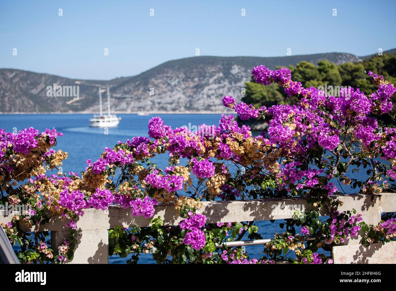 yatch in harbour and pink flowers in the Mediterranean sun Stock Photo