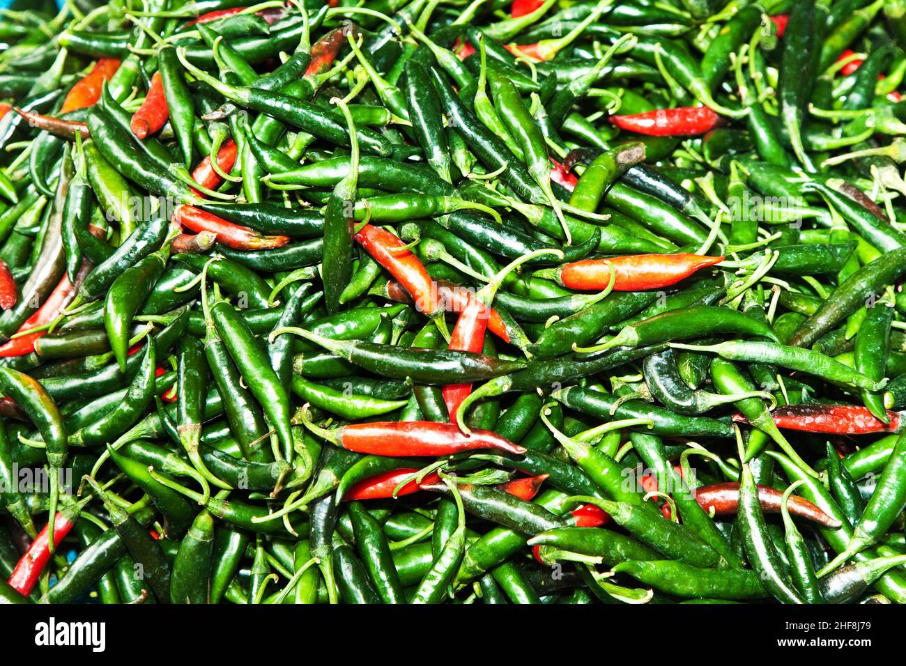 Chilli Flower Pot High Resolution Stock Photography and Images - Alamy