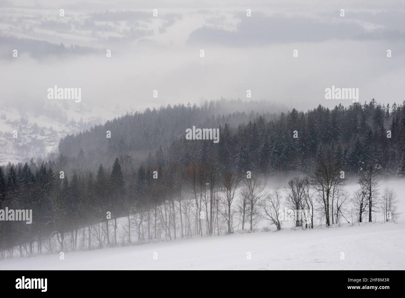 Krkonose Mountains around Rokytnice nad Jizerou in snow and fog, Ceska Republika Stock Photo