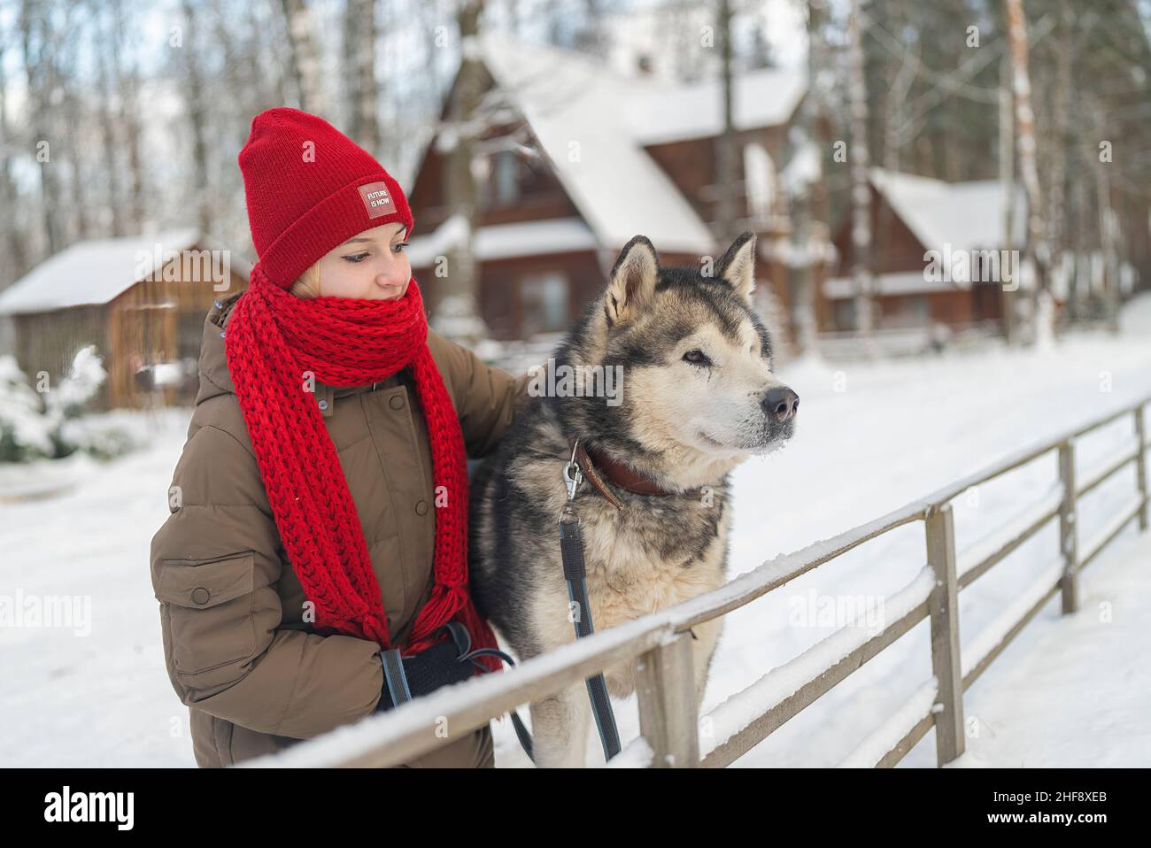 portrait of a teenage girl with a beautiful dog in a snowy street Stock ...