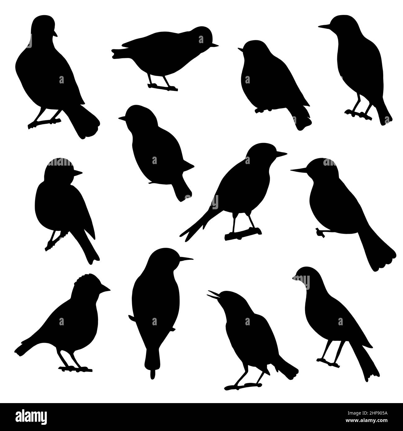 Set of black silhouettes of songbirds on a white background Stock Vector