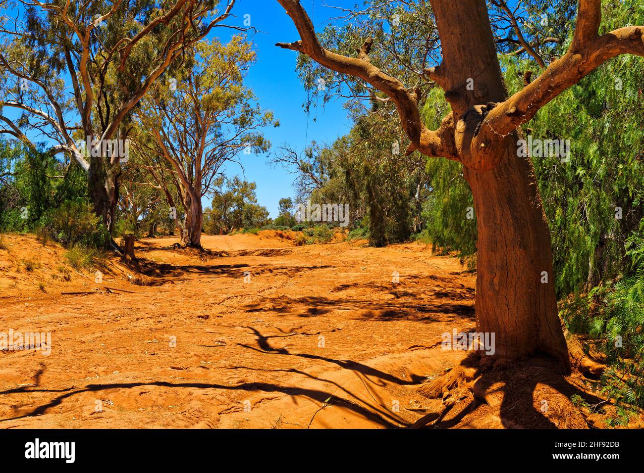 Dry riverbed creek near Silverton town in Broken hill area of Australian outback - arid desert climate. Stock Photo