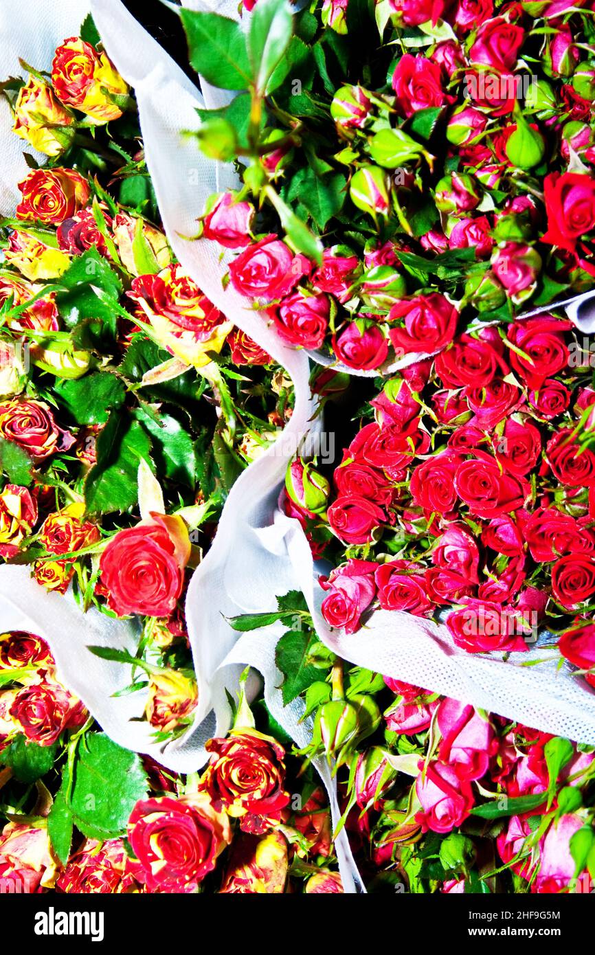 beautiful flowers at the flower market Stock Photo Alamy