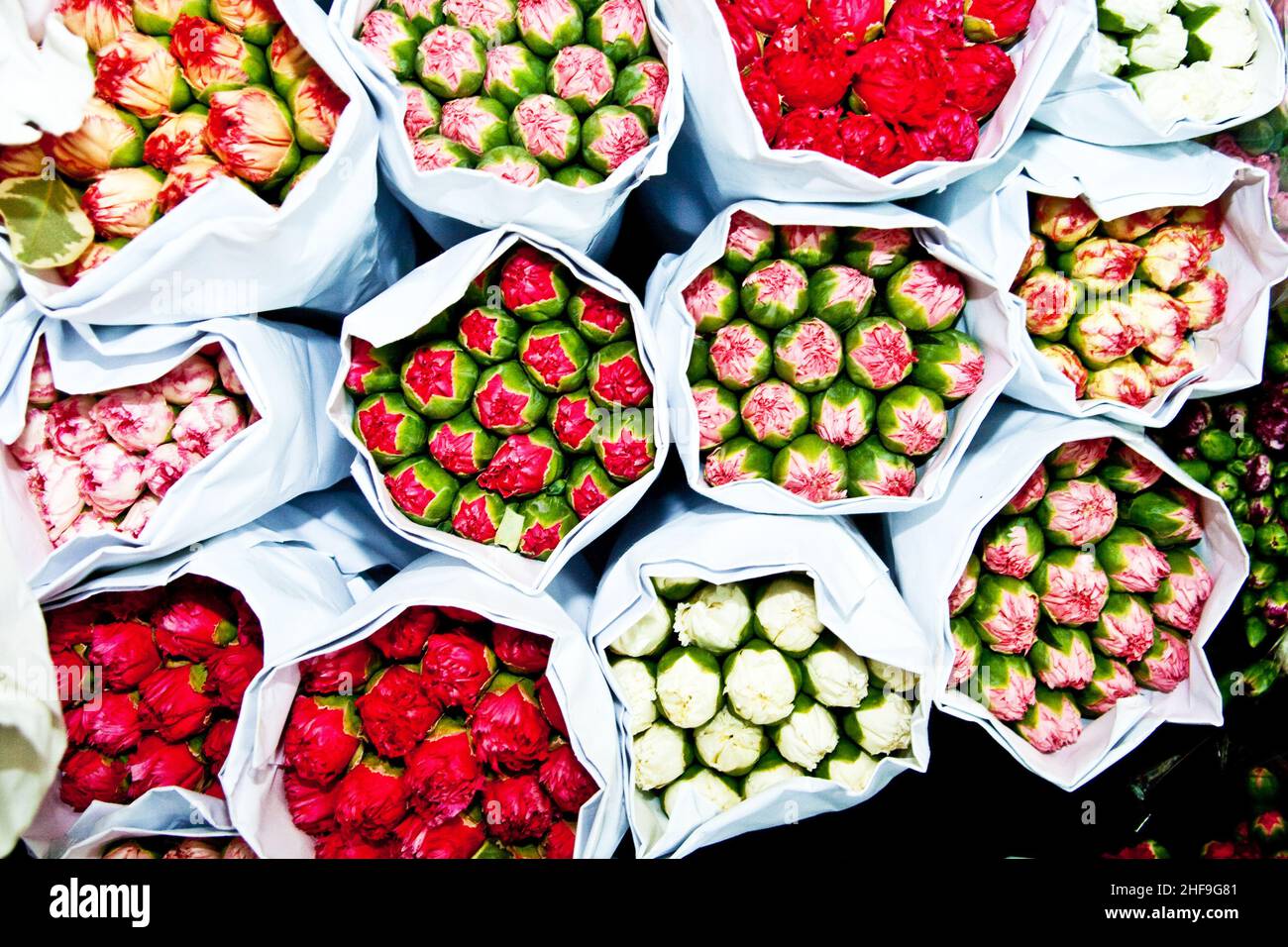 beautiful flowers at the flower market Stock Photo Alamy