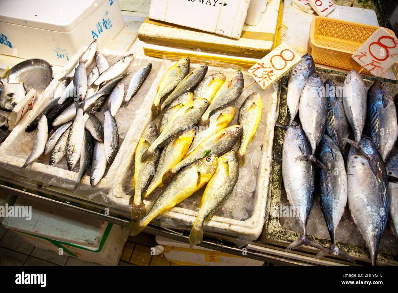 Silver plate white gloves hires stock photography and images Alamy