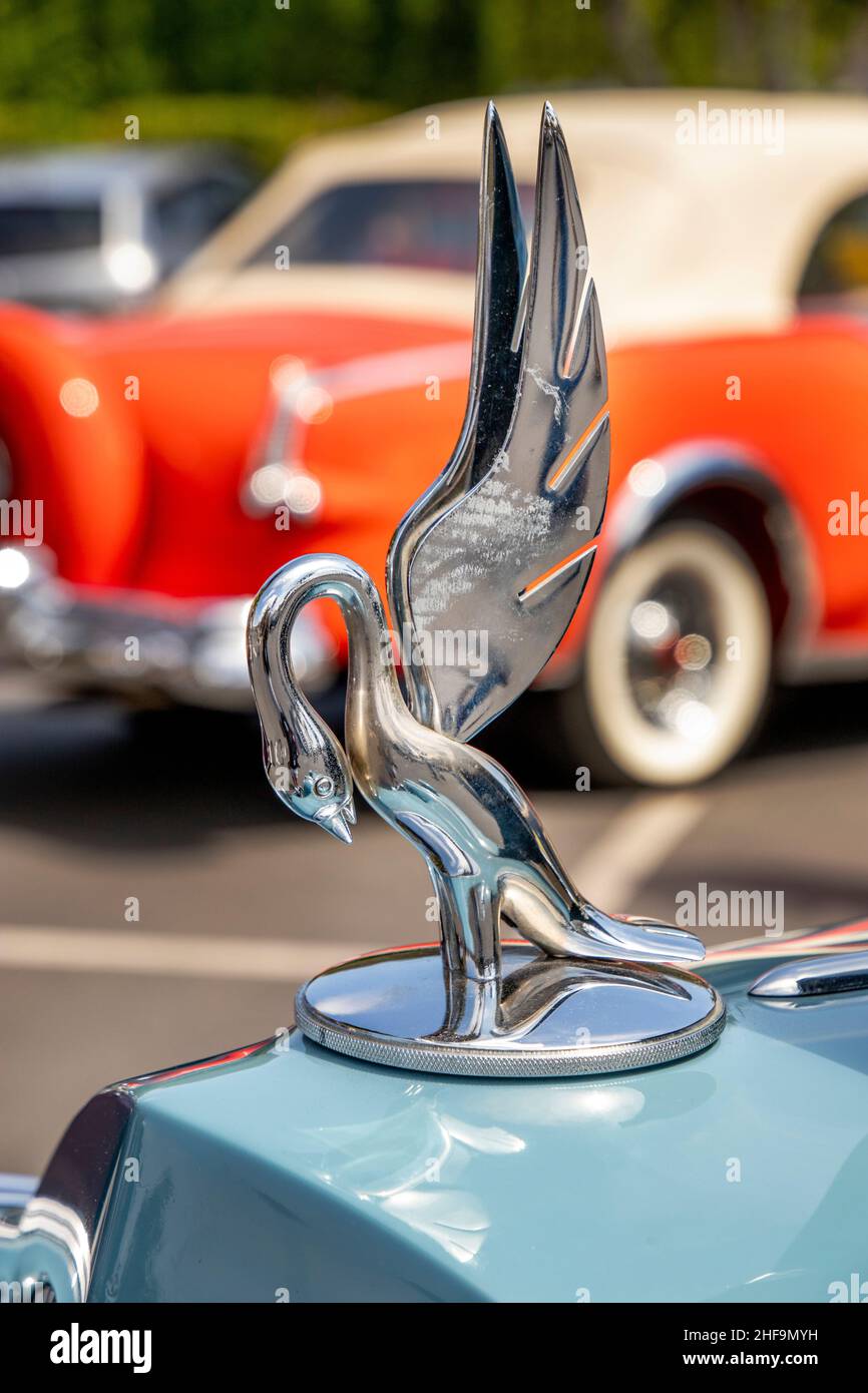 A chromium swan hood ornament decorates a 1936 Packard roadster classic
