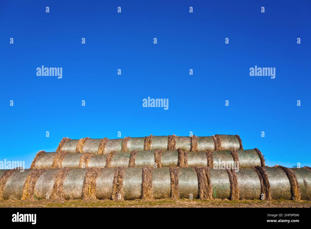 bale of straw in foil on field with blue sky Stock Photo - Alamy
