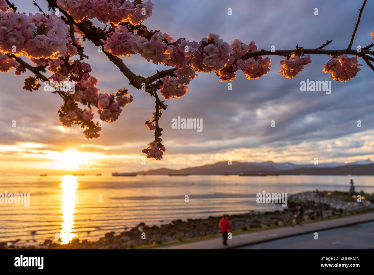 Sunset Beach Park beautiful landscape in spring sunset time 