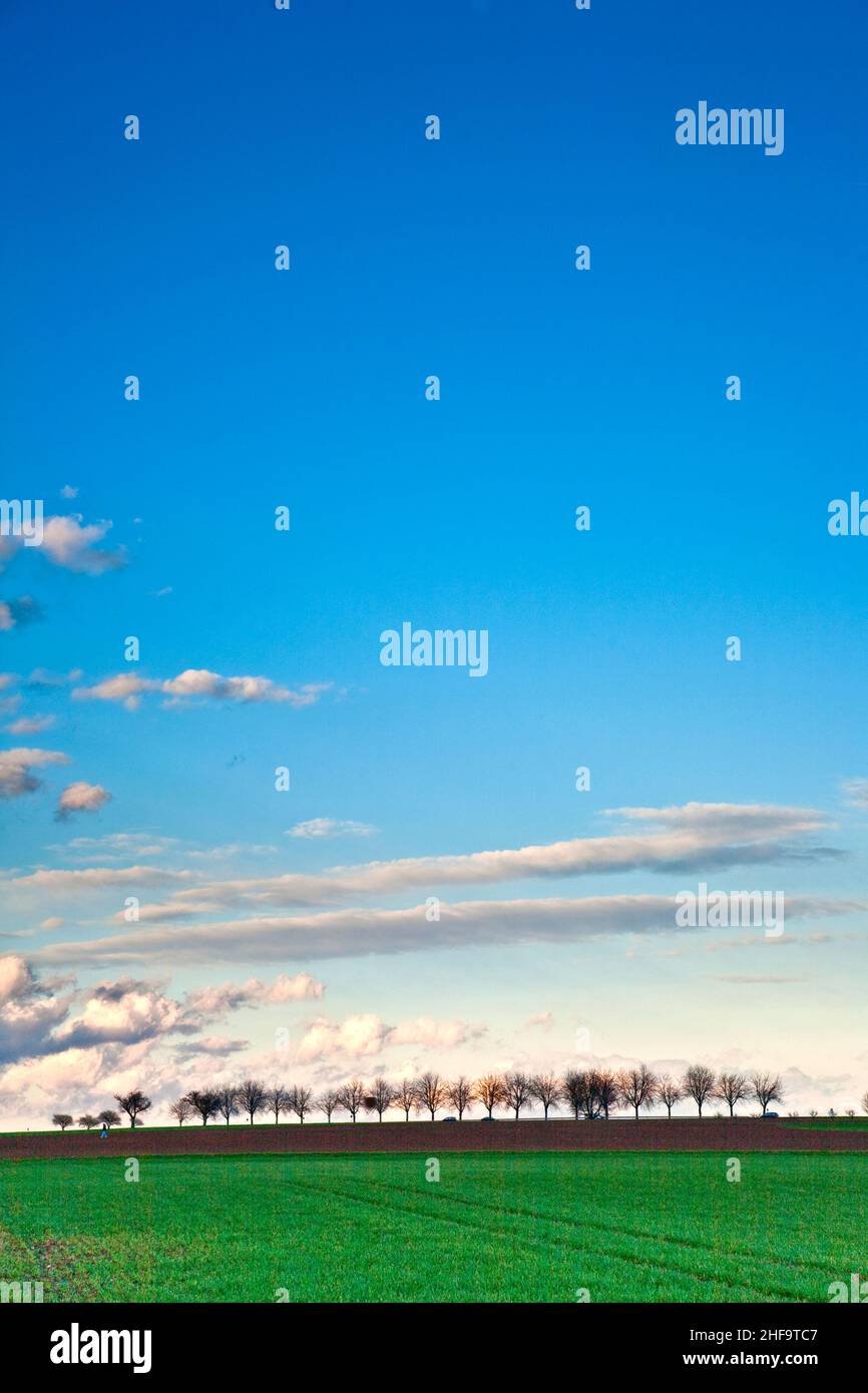 landscape with acres,trees and dark clouds at the sky Stock Photo - Alamy