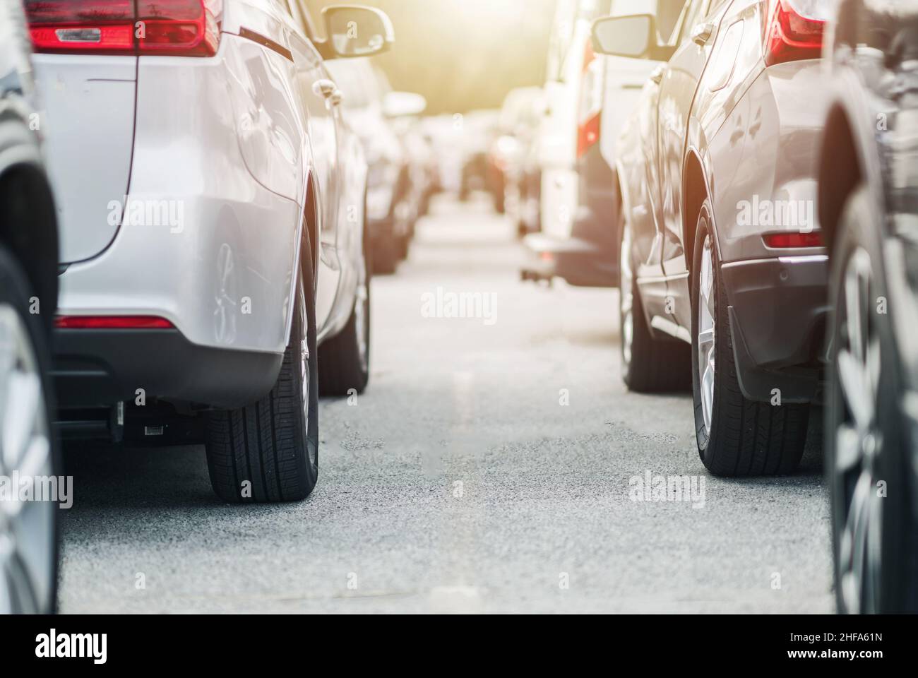 Public Parking Full of Cars Ground Level Close Up. Automotive and