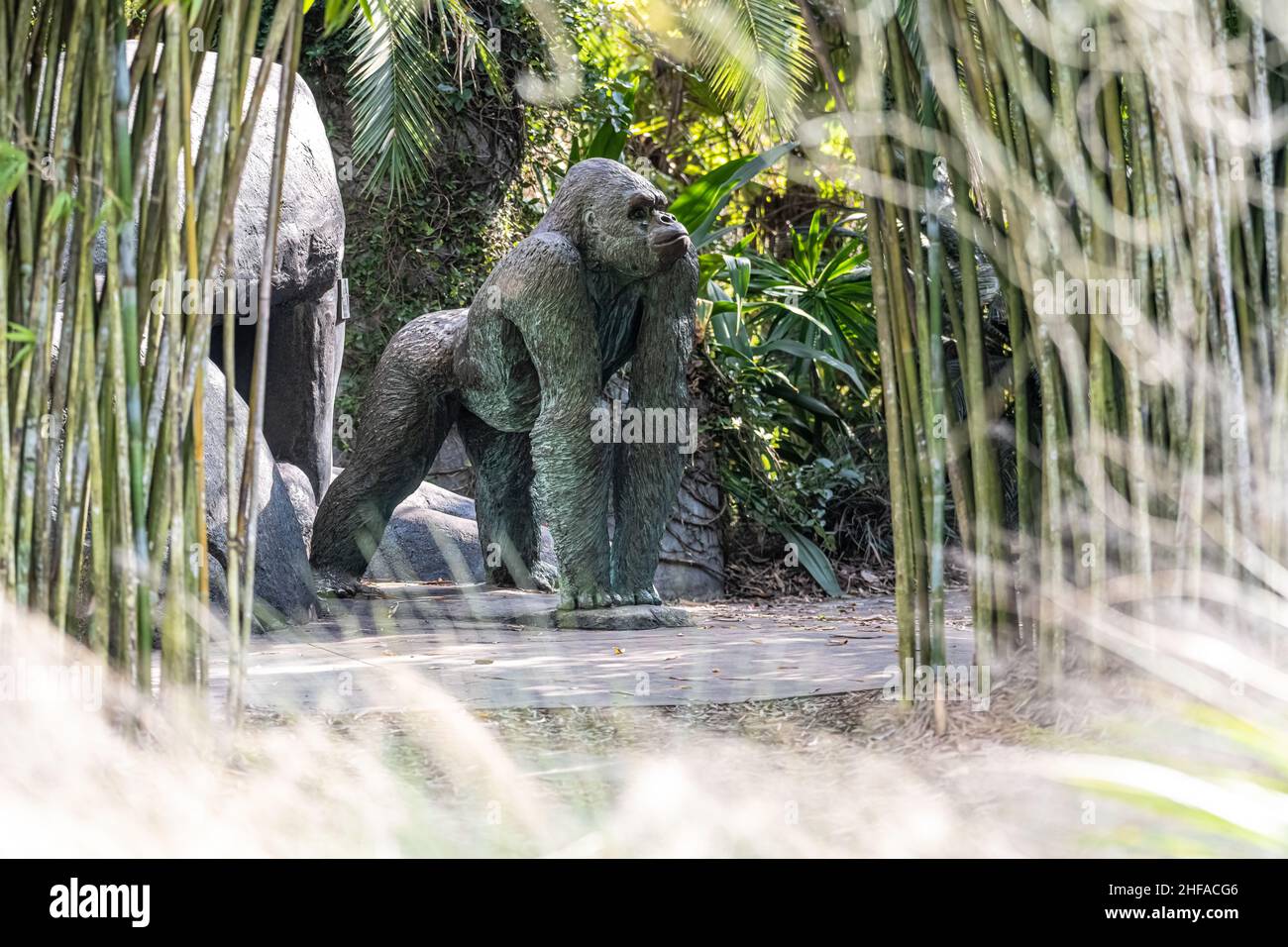 Gorilla statue at Jacksonville Zoo and Gardens in Jacksonville, Florida. (USA) Stock Photo