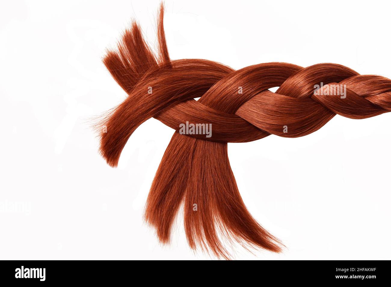Braided hair, red Brown hair natural , banner panorama isolated on white background , beauty Stock Photo