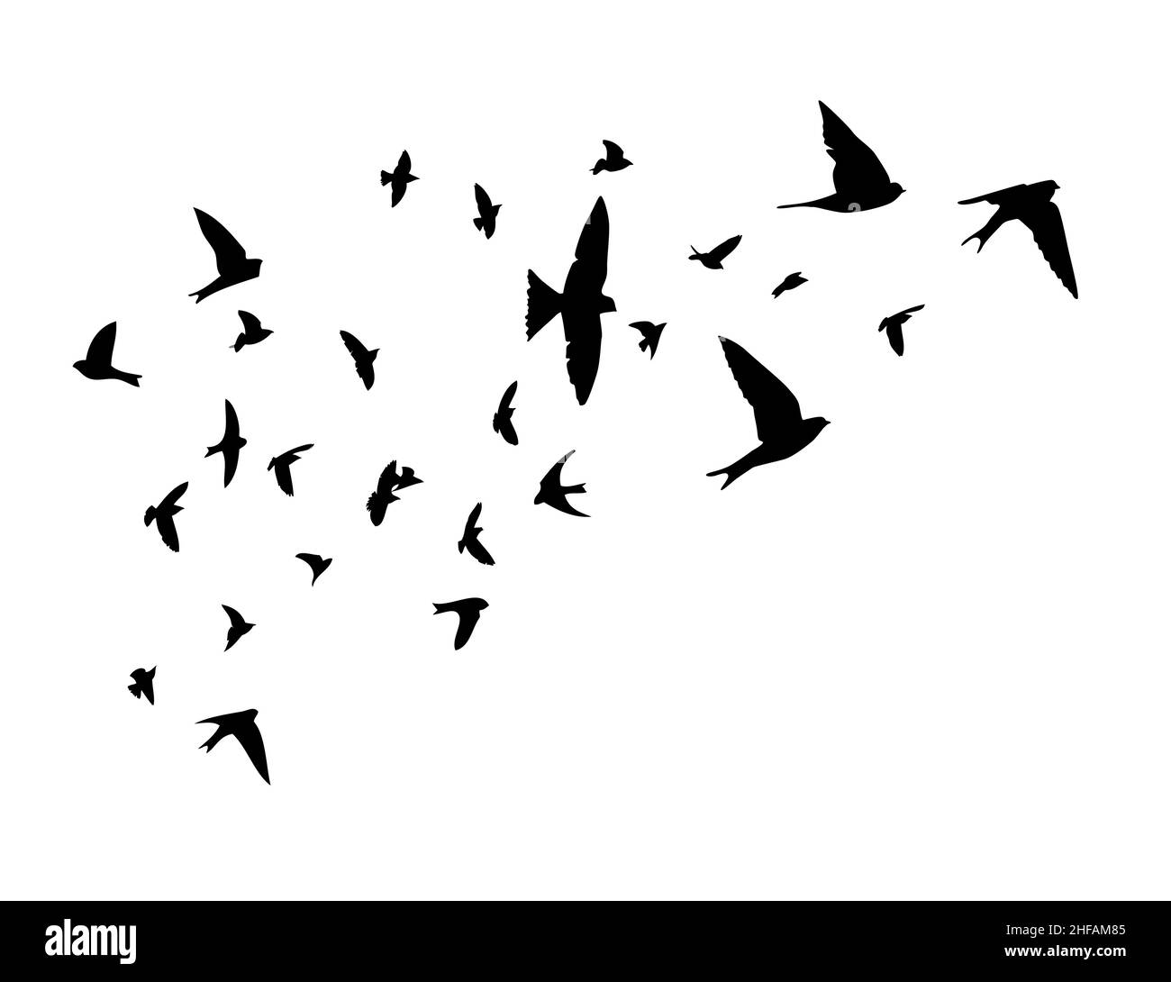 A flock of flying birds. Free birds. Flying swallows. Vector illustration Stock Vector