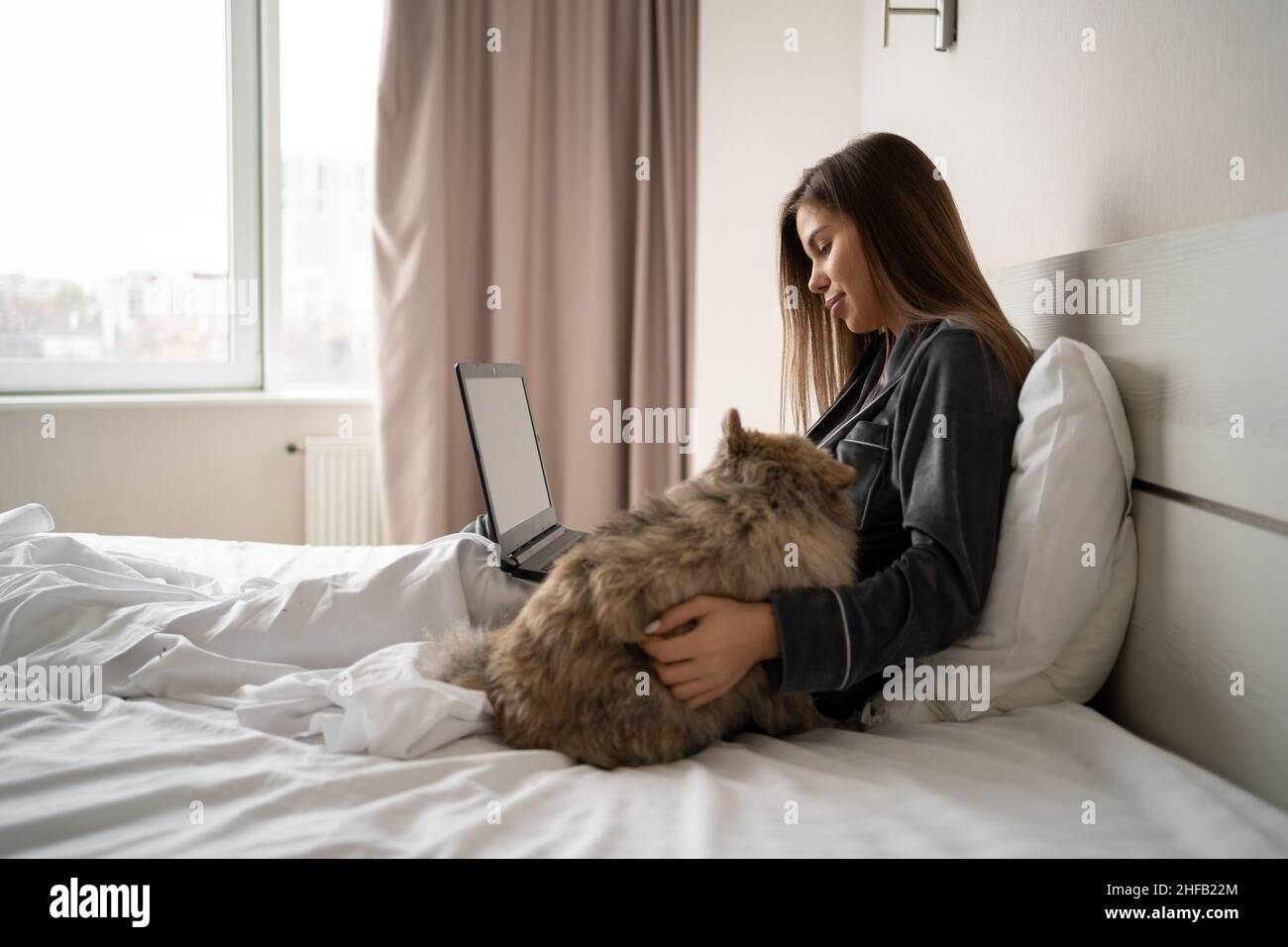 A beautiful girl in pajamas uses a laptop working remotely at home sitting on the bed, a spitz dog sits next to the hostess. copy space. Stock Photo