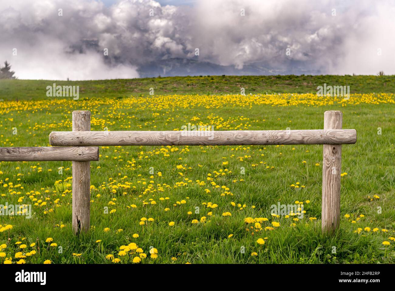 The flowery fence hires stock photography and images Alamy