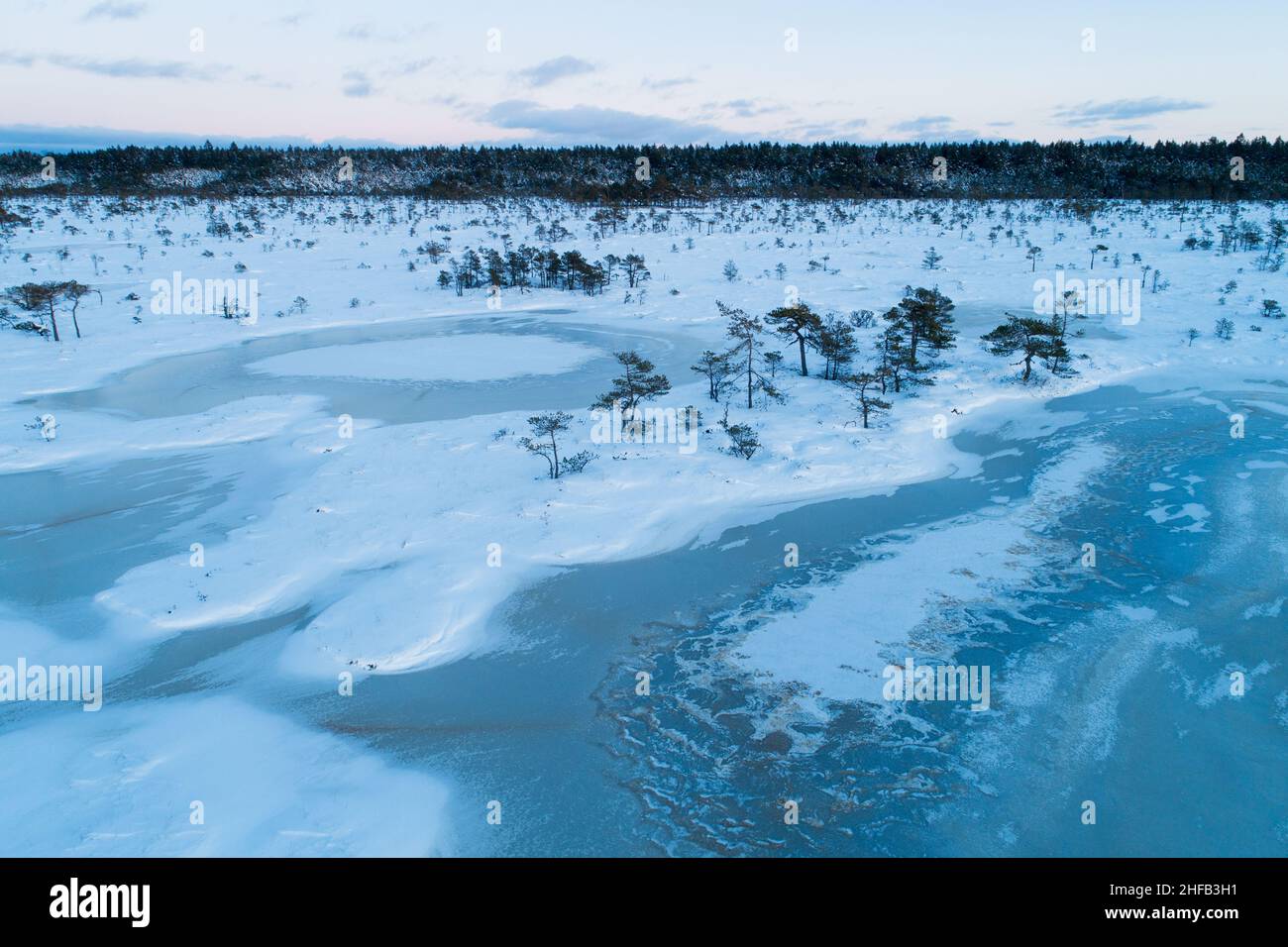 Wintry bog with frozen bog lakes and small pines on a darkening evening in Soomaa National Park, Estonia. Stock Photo