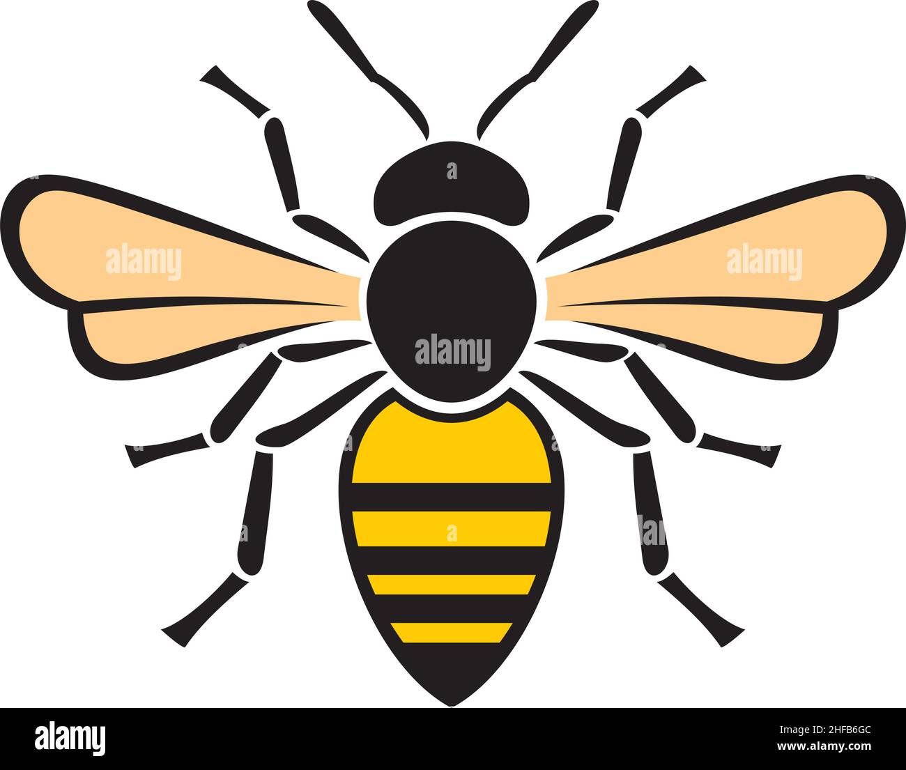Bee insect vector illustration Stock Vector Image & Art - Alamy