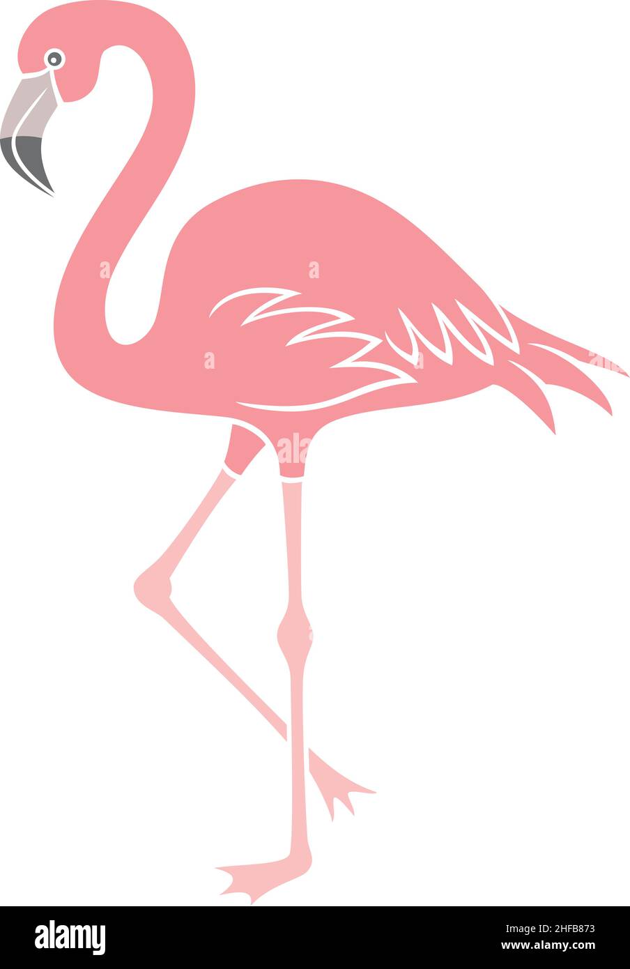 flamingo bird vector illustration Stock Vector Image & Art - Alamy