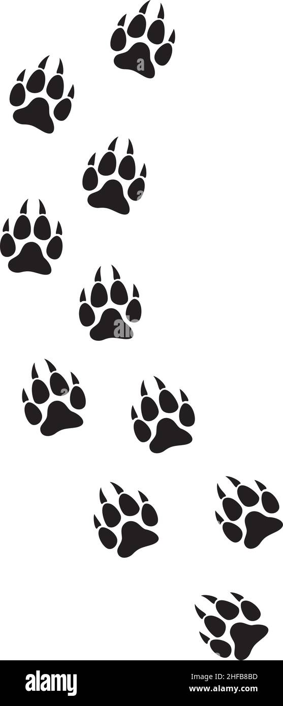 Wolf paw prints track vector illustration Stock Vector Image & Art Alamy