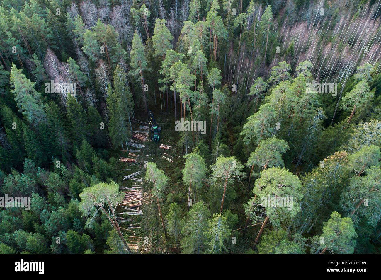 Aerial of a green wood harvester cutting down some trees in Estonian