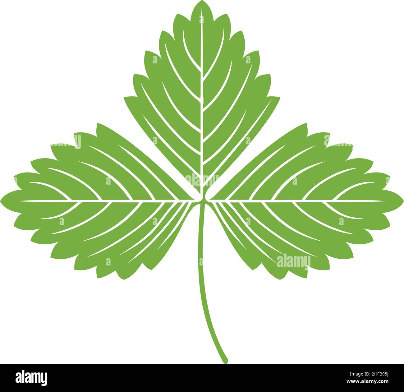 Strawberry green leaf vector illustration Stock Vector Image & Art Alamy