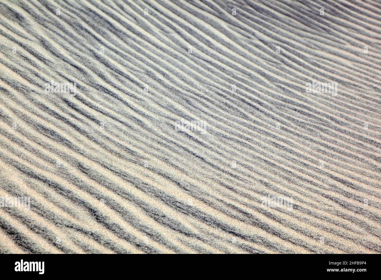 wind forms beautiful structures in the dunes at the beach Stock Photo ...