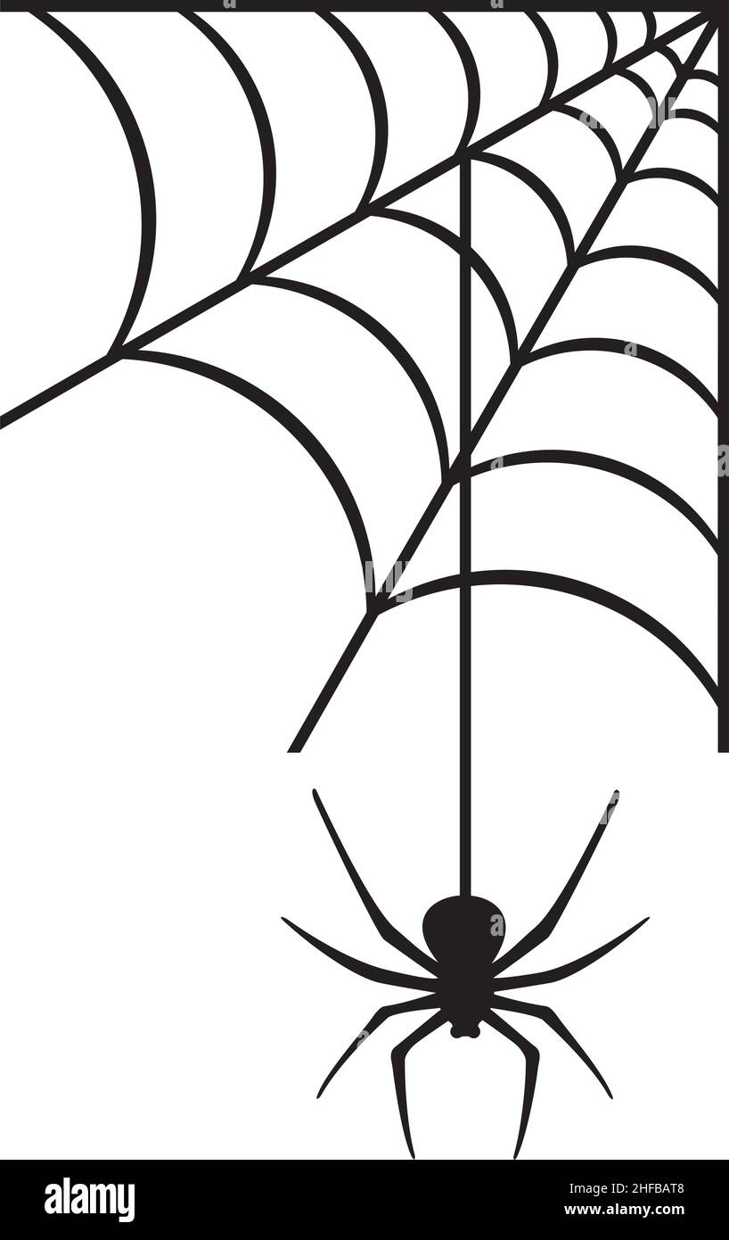 Spider and web vector illustration Stock Vector Image & Art - Alamy