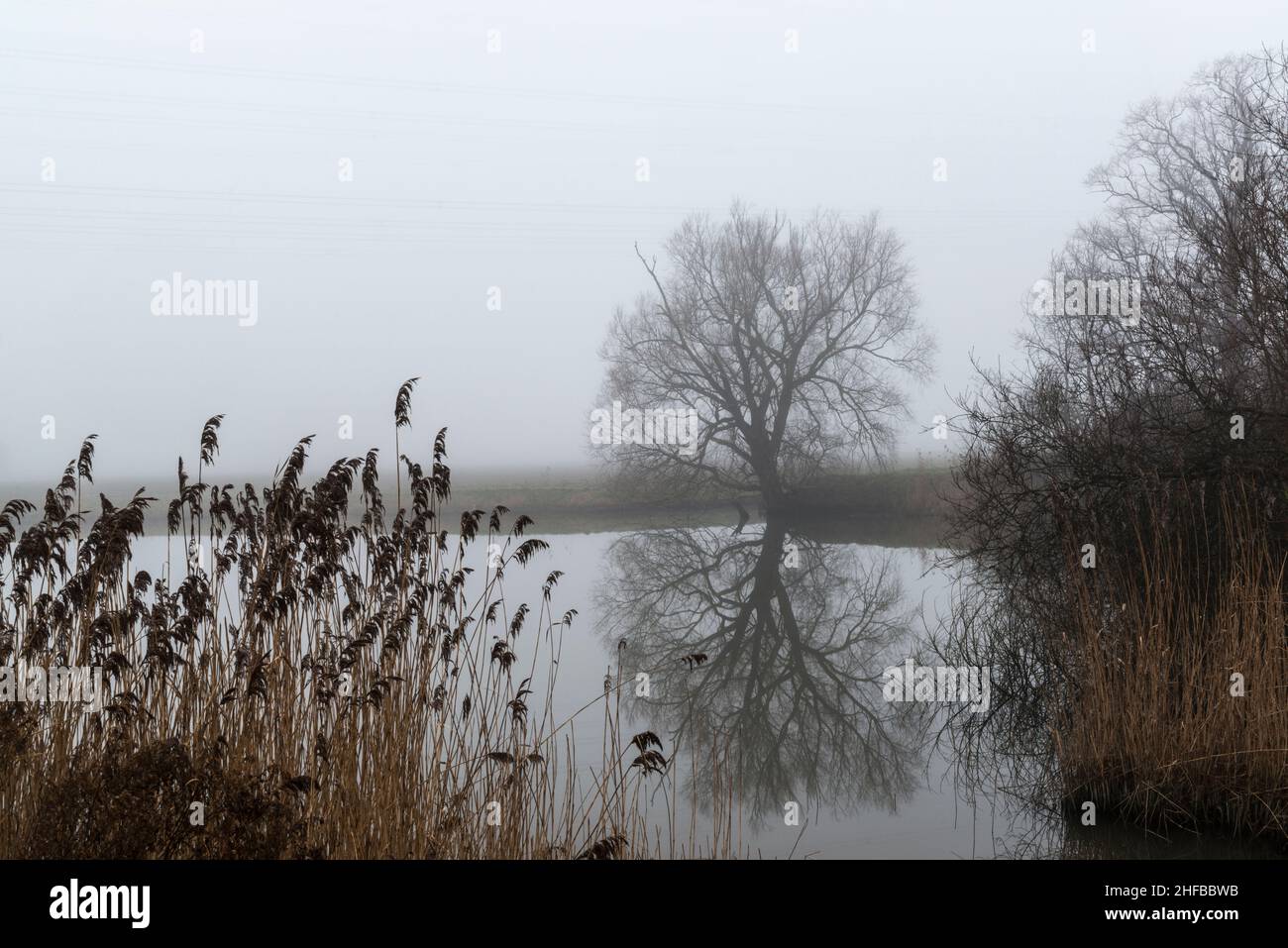 Silhouettes and reflection of leafless trees  in a small lake in misty weather. Zuid-Beveland, Zeeland province, the Netherlands. Stock Photo